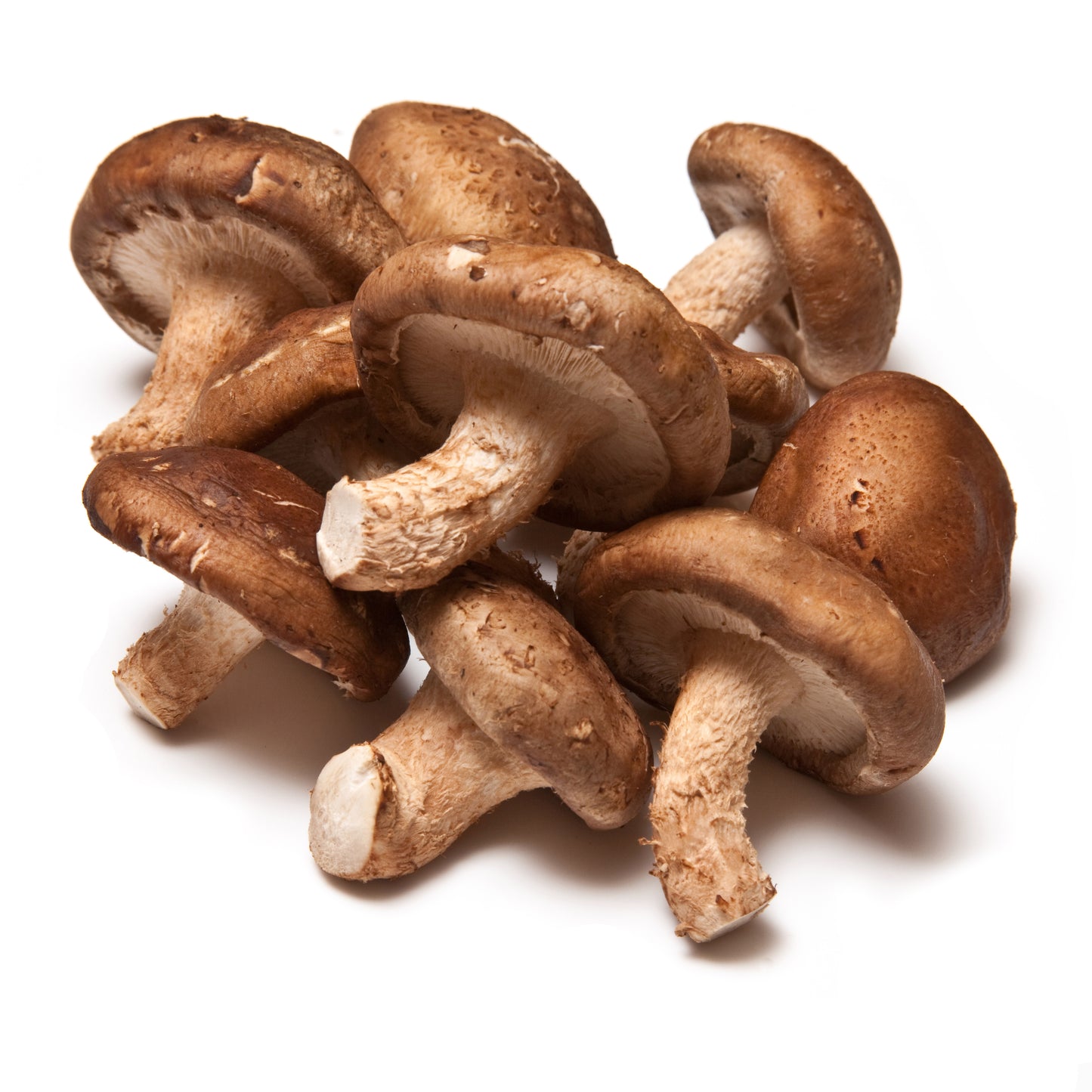 Fresh shiitake mushroom 250g