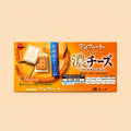 Bourbon Alfort Mini Chocolate Rich Cheese 60g