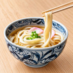 Japanese udon with soup in bowl