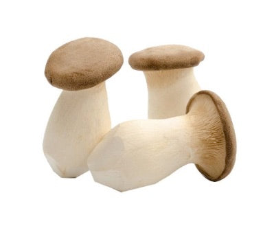 King oyster mushroom 200g