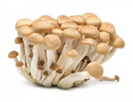 Shimeji brown mushroom 150g